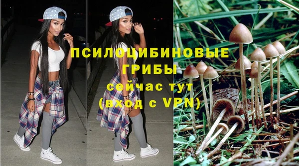 наркотики Вяземский